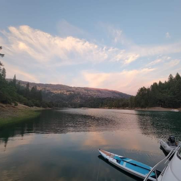 Meet your Posher, Jamie - Picture 4 of 16